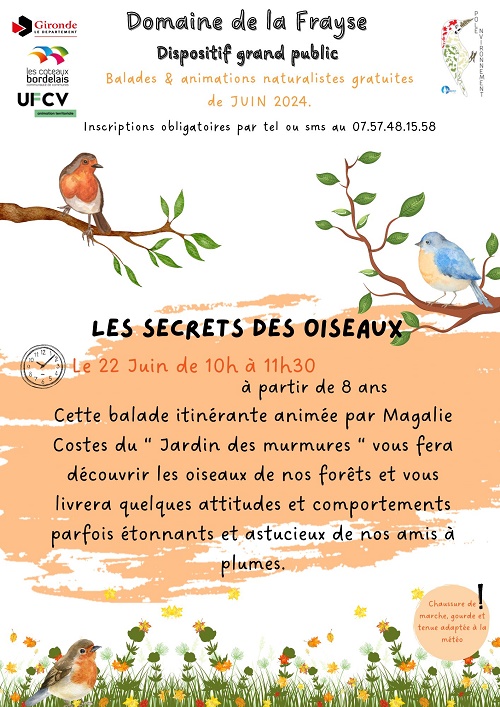 balade les secrets des oiseaux juin 2024